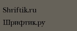 NewBaskerville Cyrillic 